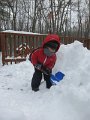 IMG_6652