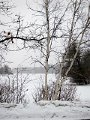 IMG_6782