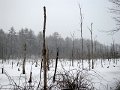 IMG_6791