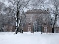 IMG_6794