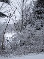 IMG_6800