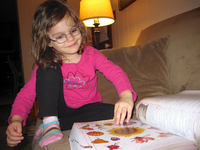 IMG_3779.jpg - Truly amazed that a 4 year old enjoys a dictionary as much as she does.