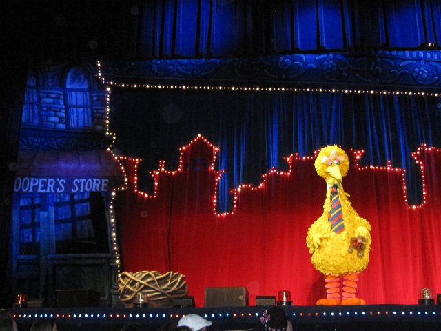 IMG_4015.jpg - One of the lessons is that you need to have plenty of rest to be a super hero.  Big Bird his heading to his nest to catch some very important sleep.