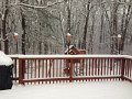 IMG_2899