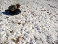 IMG_3574