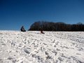IMG_3626