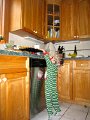 IMG_3713