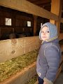 IMG_3808