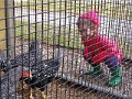 IMG_3836