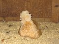 IMG_3841