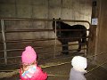 IMG_3856