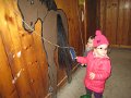 IMG_3861