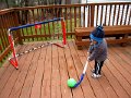 IMG_3878