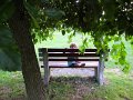 IMG_7443