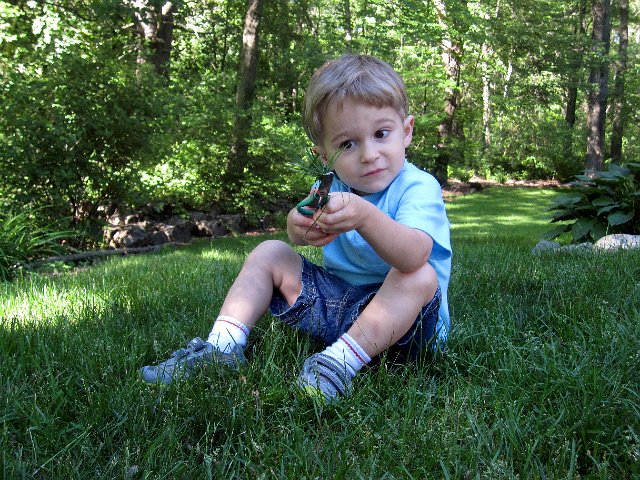 IMG_6359.jpg - Meanwhile our little landscaper was trimming the yard (with his scissors).