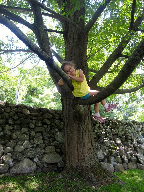 IMG_6579.jpg - And Catie Ann's tree climbing/monkey instincts kick into full gear.