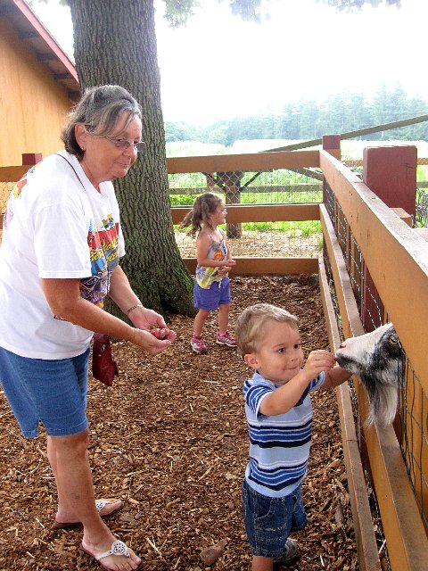 IMG_6890.jpg - The kids had a blast begging for more quarters to buy more feed for them again and again.