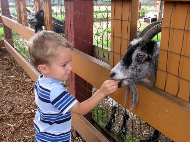IMG_6898.jpg - Nathan better count his fingers again after feeding this guy.