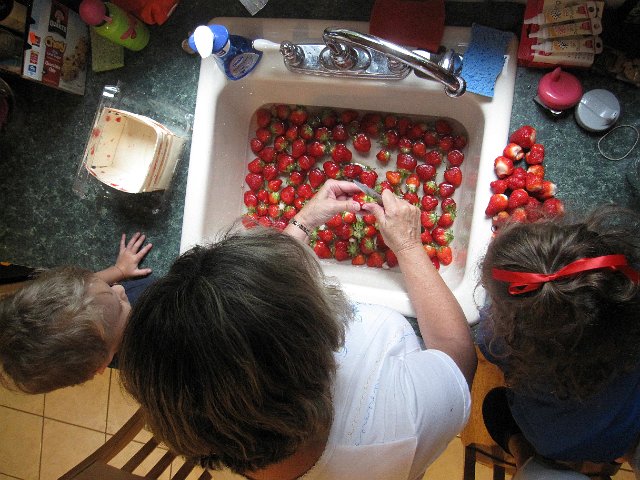 IMG_6962.jpg - It's strawberry season here and our freezer stock needs to be replenished.  Thank goodness Nana is here to help and teach the kids the ropes.