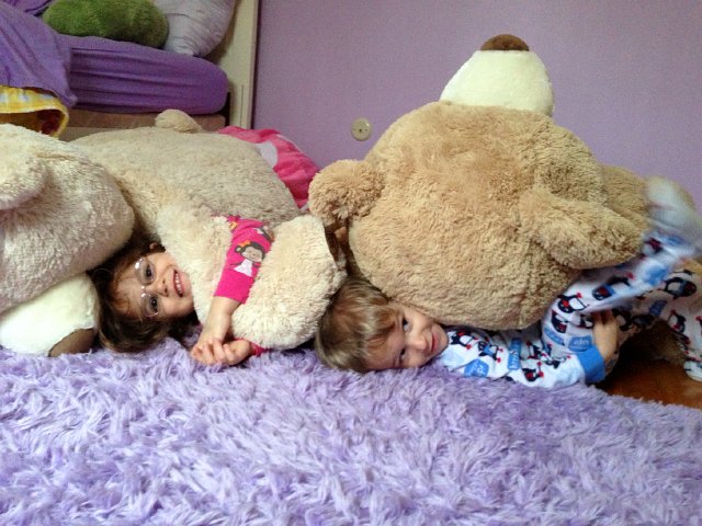 IMG_3065.jpg - Play time with their big buddies, Fluffy & Fuzzy Wuzzy.