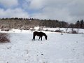 IMG_3159