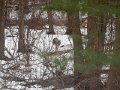IMG_6822