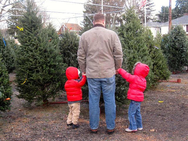 IMG_8904.jpg - Anyone want to look at/pick out our Christmas tree while we're here?