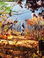 IMG_4952