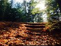 IMG_4956