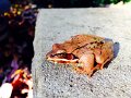 IMG_5003