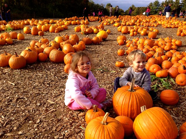 IMG_2011.jpg - Parlee also offers a very large pumpkin patch.
