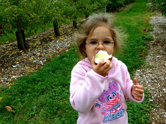 IMG_4635.jpg - We tried a new kind this year, Fortune.  Great tasting!