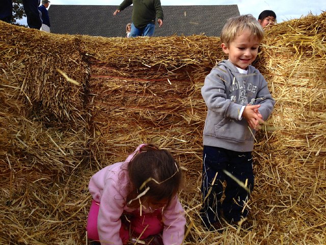 IMG_4648.jpg - We had to play in the "Hay" Area again before leaving.  This time it was fun to throw the straw into the air.