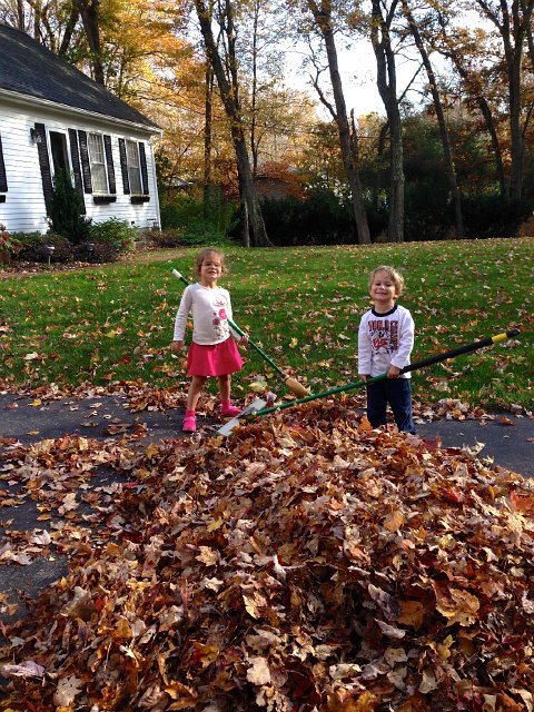 IMG_4770.jpg - Sometimes I wish we could stand to look at these leaves a little longer because they provide such great entertainment for these two!