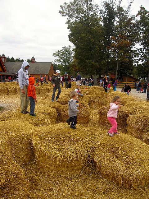 IMG_8426.jpg - Apparently it's time to go jumping, weaving and running in the Hay Play Area at Parlee Farms in Tyngsboro, MA.
