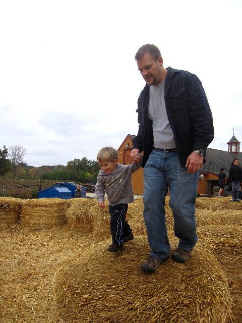 IMG_8431.jpg - This farm sets up almost 200 large, round bales simply to have some family fun.