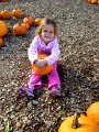 IMG_2043
