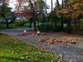 IMG_4769