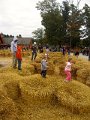 IMG_8426