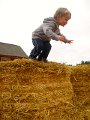 IMG_8450