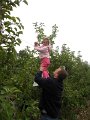 IMG_8461