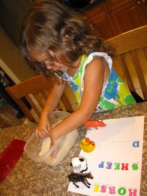 IMG_8070.jpg - Catherine had to try to spell the items we found around the house.