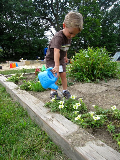 IMG_8108.jpg - This reminds me of Catherine, as the garden was her "comfort spot" during dropoff.