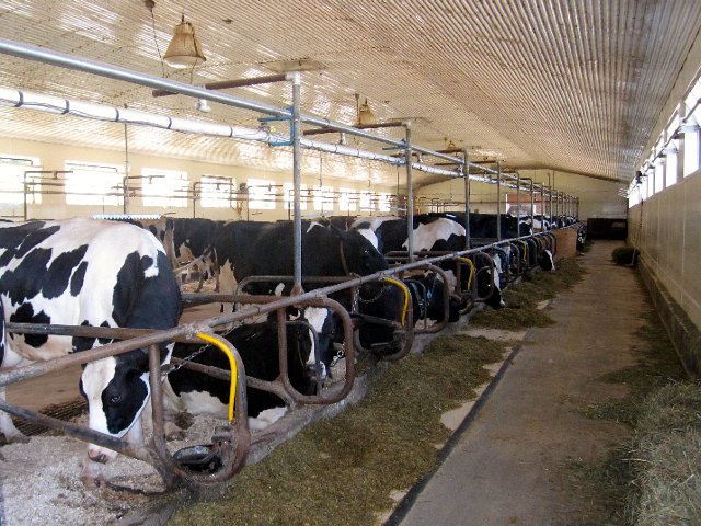IMG_8215.jpg - We (Nathan & Mommy) joined the TMC group for a tour and visit to Shaw Dairy Farm in Methuen.