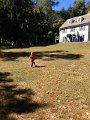 IMG_1822