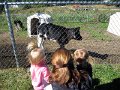 IMG_8224