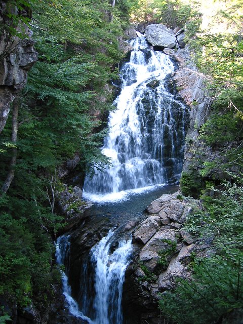 IMG_8418.JPG