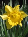 IMG_0524b