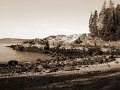 IMG_4636SA