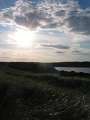IMG_6990
